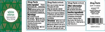 Image Description (White Citrus Hand Sanitizer 29.57 mL 66 Vv)